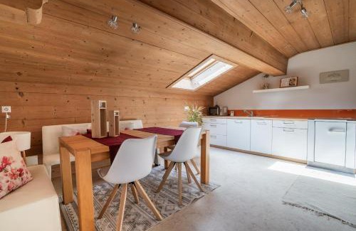 Hart im Zillertal Apartment | Ferienwohnung Holzegger