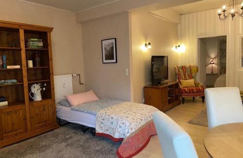 Luegde Apartment | Ferienwohnung Holland 5