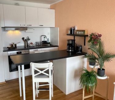 Kniebis Apartment | Ferienwohnung in Freudenstadt-Kniebis III
