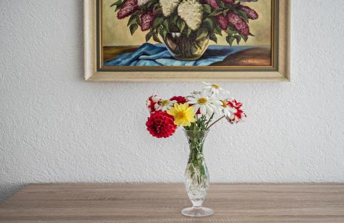 Reichenau Apartment | Ferienwohnung Insel Reichenau