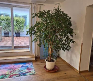 Kolbermoor Apartment | Ferienwohnung Jelen - Kaffee - Tee - Lichthof - 135 qm