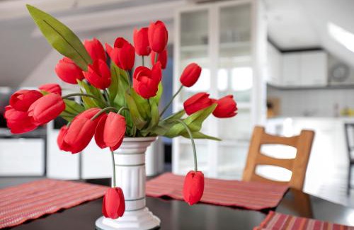Heide Apartment | Ferienwohnung Kleinschmidt