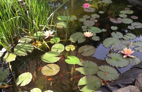 Lahnstein Apartment | Ferienwohnung Lahnmündung