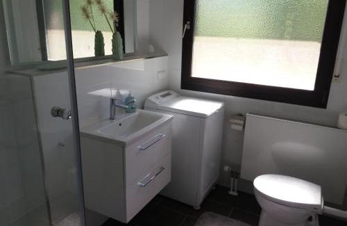 Bad Duerkheim Apartment | Ferienwohnung Lingenfelder