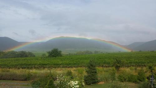 Edenkoben Apartment | Ferienwohnung Luitpold 21