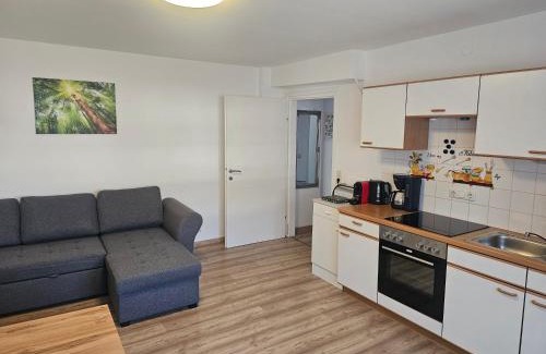 Steinbach am Attersee Apartment | Ferienwohnung Melissa