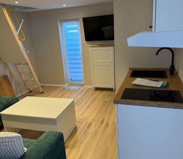 Ditzum Apartment | Ferienwohnung mit Seeblick 2