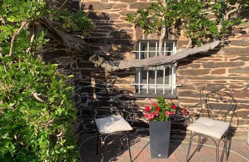 Cochem Apartment | Ferienwohnung Moseltraum