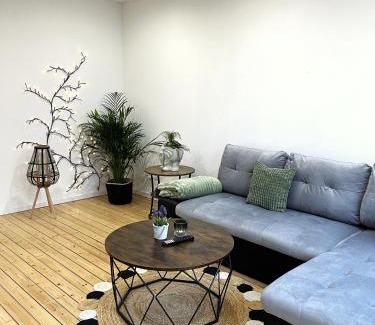 Ensch Apartment | Ferienwohnung 'Moselzauber'