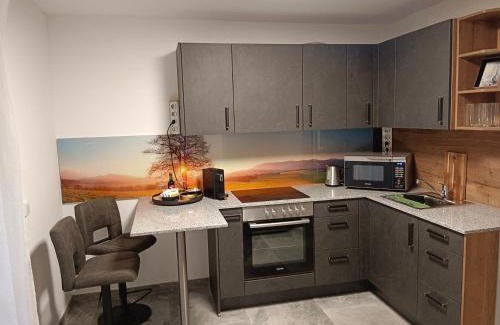 Pinsdorf Apartment | Ferienwohnung nähe Gmunden Top 4
