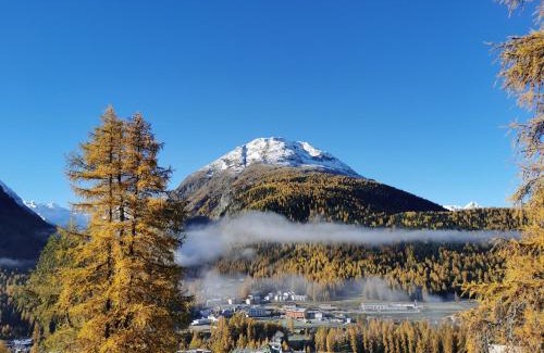 Pontresina Apartment | Ferienwohnung Pontresina - Chesa Andrea - Gartensitzplatz