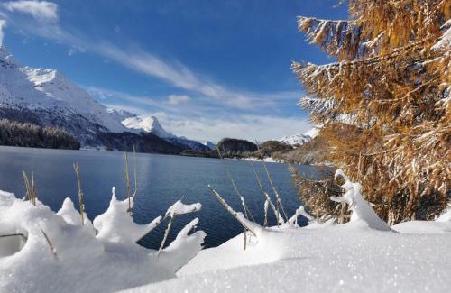 Pontresina Apartment | Ferienwohnung Pontresina - Chesa Andrea - Gartensitzplatz
