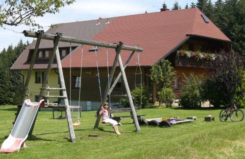 Schonach im Schwarzwald Apartment | Ferienwohnung Reiner