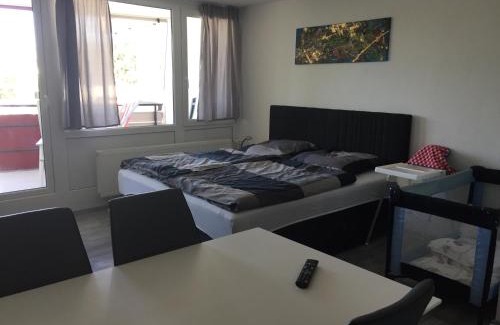Sankt Englmar Apartment | Ferienwohnung Reinhold im Predigtstuhl Resort