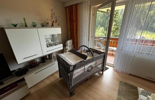 Todtmoos Apartment | Ferienwohnung Schöne Aussicht