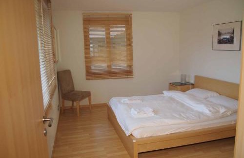 Adelboden Apartment | Ferienwohnung Schützenrain