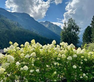 Wald im Pinzgau Apartment | Ferienwohnung Wald