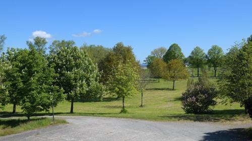 Bielenberg Apartment | Ferienwohnungen Zum Paradies