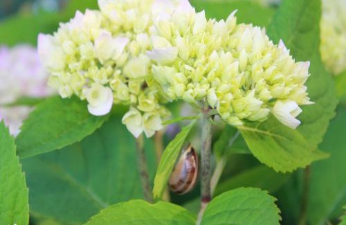 Kroepelin House | Ferienzimmer in Kröpelin