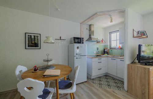 Todtnauberg Apartment | Fewo Herzgrün - zu Fuß zu Lift & Loipe traumhafte Aussicht mit Sauna im Haus Tiefgarage E-Ladestation