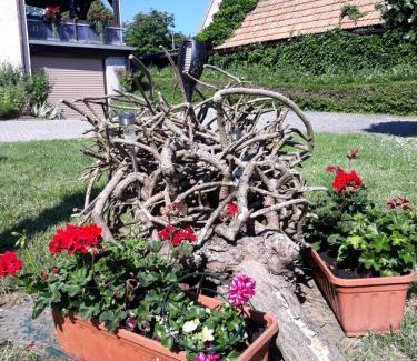 Hinterhermsdorf Apartment | Fewo Hoyer