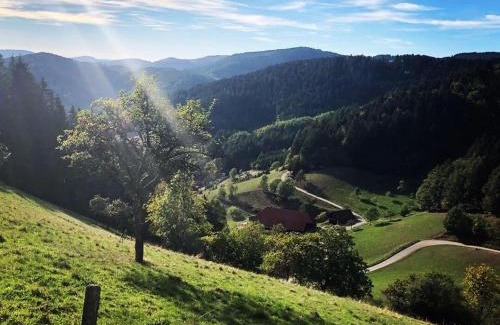 Hausach Apartment | FeWo mit Whirlpool, Infrarot-Sauna & Schwarzwaldblick