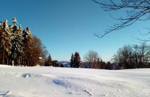 Klingenthal Apartment | Fewo-Mueller