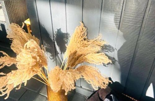 Jegum House | FF1002 Sommerhus tæt på Blåvand