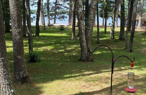 Boulder Junction Cabin | Fiesta on the Lake - Spruce on Trout Lake