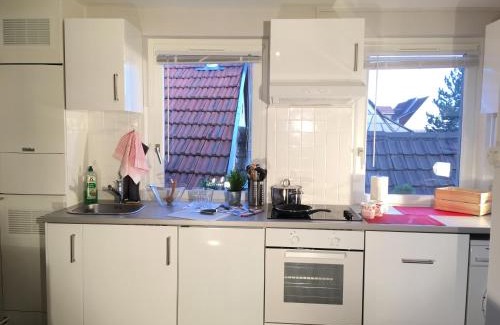 Old Town Apartment | Finala Colmar