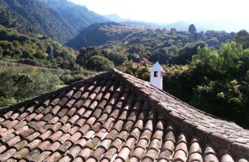 La Orotava Villa | Finca La Hondura