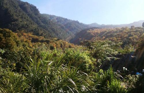 La Orotava Villa | Finca La Hondura