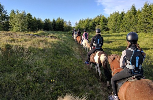 Egilsstadir Cottage | Finnsstaðir