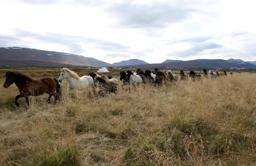 Egilsstadir Cottage | Finnsstaðir