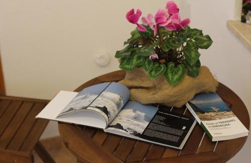 Province of Cagliari Bed & Breakfast | Fiori e Limoni