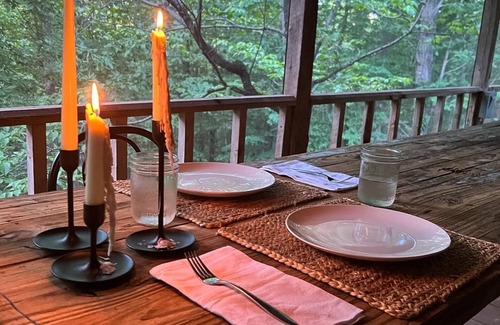 Mt. Sherman Cabin | Firefly Cottage - 11 acres & 3 miles to Kyle's Landing - Buffalo River