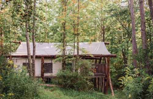 South Hill Other | Firelight Camps