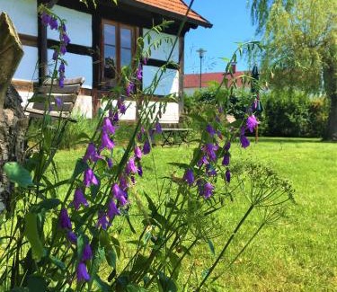 Altwarp Apartment | Fischerhaus Godewind 60 qm