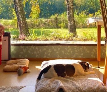 Niedergoersdorf House | Flämingpanorama - Ländliches Gartenhaus mit Kamin und Naturpanorama