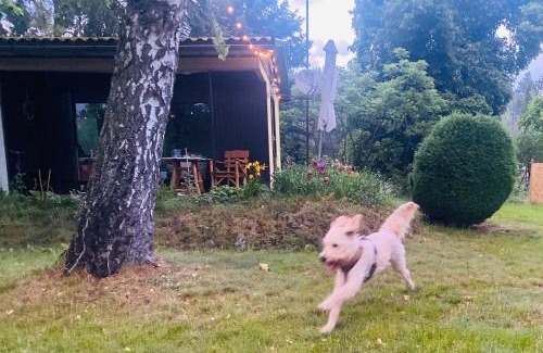 Niedergoersdorf House | Flämingpanorama - Ländliches Gartenhaus mit Kamin und Naturpanorama