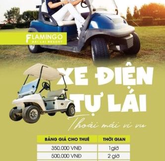 Ngoc Quang Apartment | Flamigo Dai Lai Resort - Happy Villa