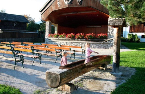 Bad Mitterndorf Apartment | Flat Alpenroos in Bad Mitterndorf with sunny balcony