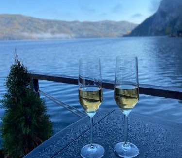 Bajina Basta Apartment | Floating House Perućac