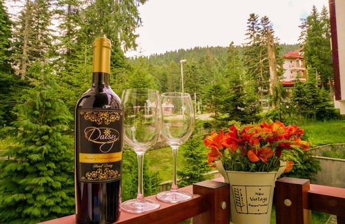 Borovets Apartment | Flora Residence Daisy