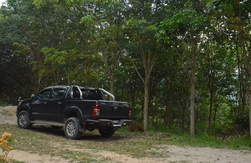 Kawasan Melalap House | FloresGam Agricultural Haven