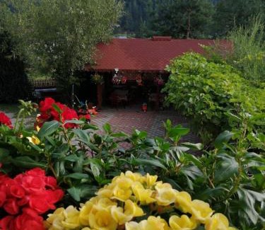 Pojorita House | Flori de Bucovina