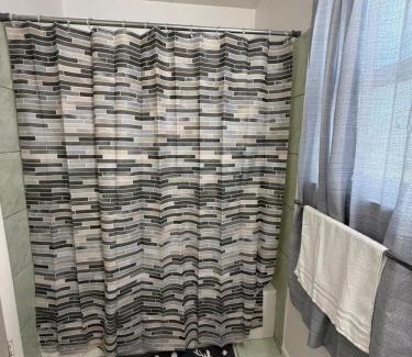 Downtown Las Vegas Apartment | Flowers Downtown Free Parking