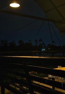 Kochi House | Flumen Resort