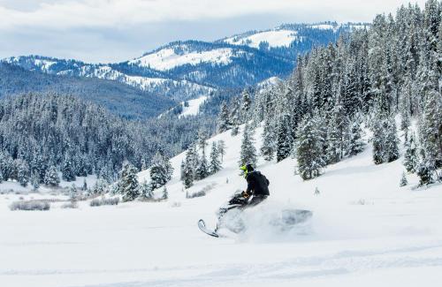 Alpine Cabin | Flying Saddle Resort and Steak House
