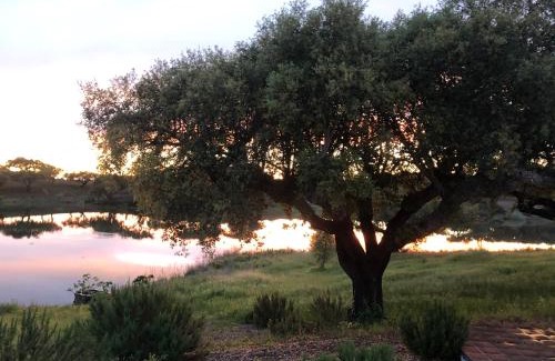 Redondo Villa | Fontes - A essência do Alentejo com lago privado